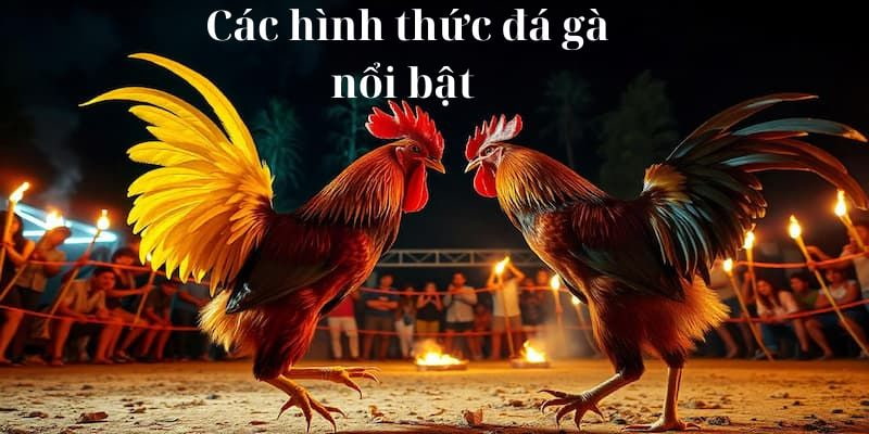 Các sảnh uy tín được nhiều người ưa chuộng