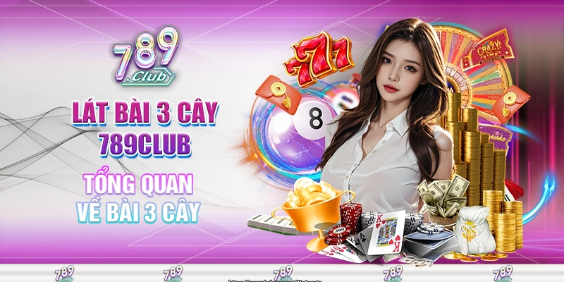 Tổng quan về bài 3 cây