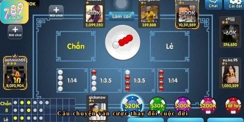 Ván cược đem lại chiến thắng